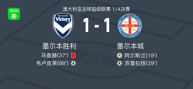 他们致力于